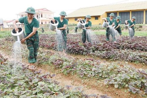 Trường bắn Quốc gia khu vực 1: Tăng gia khéo, nuôi quân giỏi