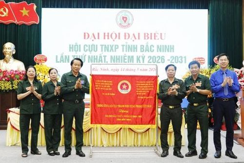 Đồng chí Trịnh Thanh Giang giữ chức Chủ tịch Hội Cựu thanh niên xung phong tỉnh Bắc Ninh