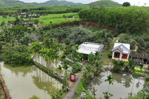 Khơi dậy tiềm năng kinh tế vườn