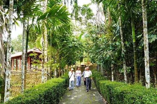 Giữ cho vườn xanh, ngõ sạch
