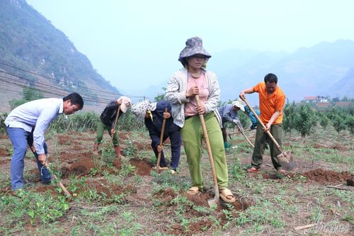 Đưa nghị quyết vào cuộc sống: Cách làm sáng tạo từ Pú Nhung