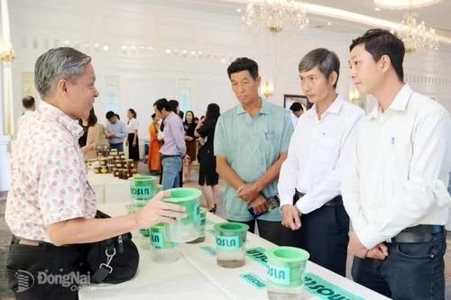 Tuân thủ quyền sở hữu trí tuệ để hội nhập