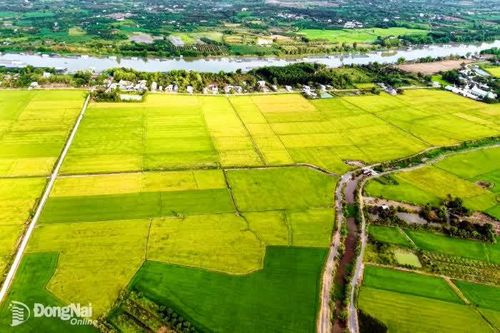 Phát triển nông nghiệp xứng tầm vị thế mới