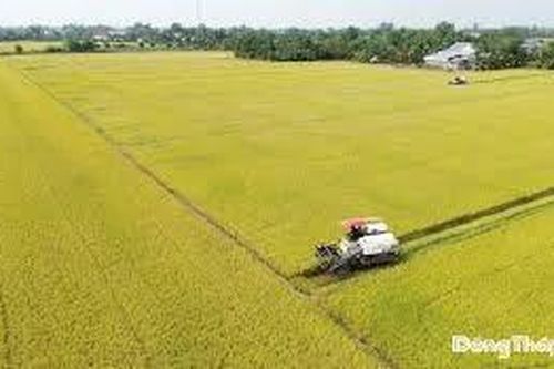 Nông nghiệp đa giá trị