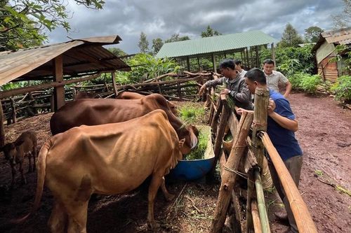 Đẩy nhanh tiến độ thực hiện các chính sách, chương trình, dự án ở vùng đồng bào dân tộc thiểu số và miền núi