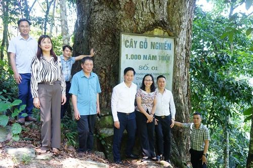Đoàn khảo sát của Ban Văn hóa - Xã hội HĐND tỉnh làm việc với xã Bảo Nhai