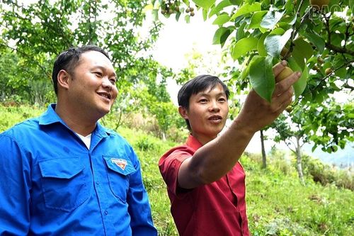 Kiên trì tạo thành công