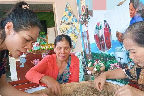 Thoảng hương cà phê mít