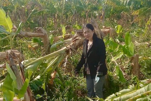 Gió lốc gây thiệt hại hơn 400 triệu đồng tại xã Hàm Kiệm