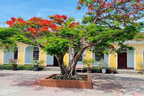 Mùa hoa kỷ niệm