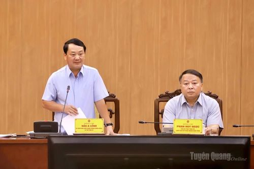 Xem xét đề xuất dự án chăn nuôi, trồng chè 300 triệu USD tại Tuyên Quang