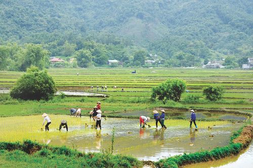Ngày ấy ở Cúc Đường