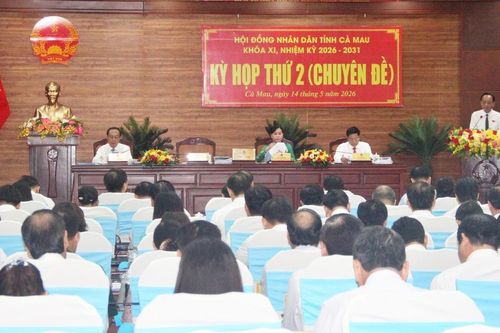 Cà Mau gia hạn thời gian thực hiện 9 dự án đầu tư công