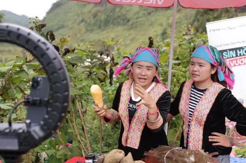 Từ 'giải cứu nông sản' đến bán hàng triệu view: Bùng nổ câu chuyện làm giàu không khoảng cách