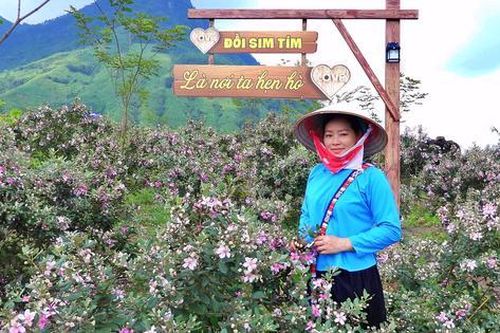 Tuần Văn hóa, Thể thao và Du lịch Hải Hòa 2026 - Màu tím hoa sim