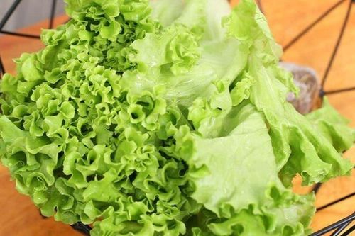 Loại rau 'tốt nhất thế giới', Việt Nam trồng bạt ngàn chỉ 45 ngày cho thu hoạch, thành đặc sản tốt cho sức khỏe