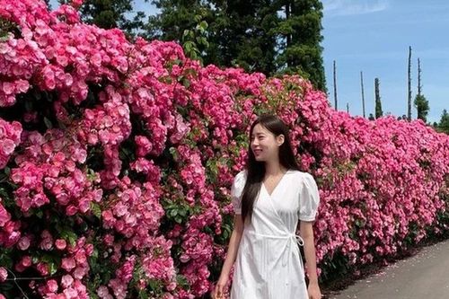 Đi du lịch Hè không cần mang cả tủ đồ, chị em cứ chọn 1 trong 3 kiểu váy này lên hình 'sống ảo' cực đẹp