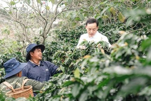 Phát triển hạ tầng thiết yếu gắn với sinh kế xanh cho vùng đồng bào dân tộc thiểu số