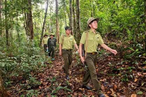 Bộ Nông nghiệp và Môi trường đề xuất 12 vị trí công tác phải định kỳ chuyển đổi