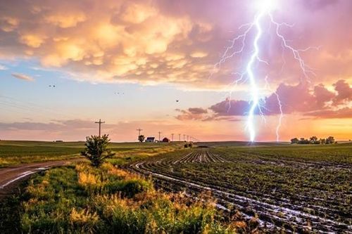 Người phụ nữ bị sét đánh khi đi làm đồng