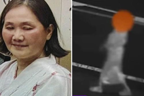 Cụ bà 'biến mất' trong đêm ở Nhật Bản: Hình ảnh cuối cùng dẫn về phía rừng núi
