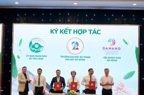 Đà Nẵng: '3 nhà' giúp nâng cao giá trị quế Trà My