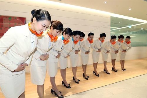 Hãng hàng không cho loạt tiếp viên nghỉ không lương, cắt gần 200 chuyến bay quốc tế trong 2 tháng