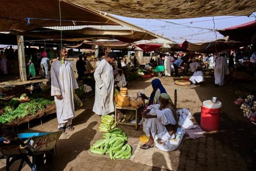 Hơn 40% dân số Sudan đối mặt với tình trạng mất an ninh lương thực nghiêm trọng