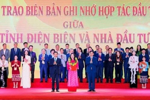 Đầu tư xây dựng nhà máy điện mặt trời tại Điện Biên