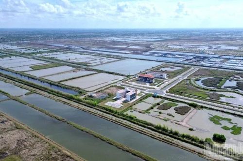 Cà Mau lập Ban Chỉ đạo gỡ vướng các dự án 'treo'
