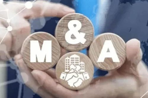 Cải cách thủ tục hành chính: 'Bí kíp' giúp thị trường M&A minh bạch và chuyên nghiệp