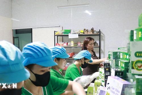 Doanh nghiệp đề xuất tháo gỡ vướng mắc để phát triển dược cổ truyền