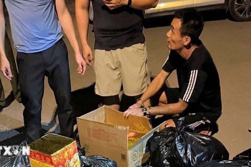 Phát hiện đối tượng vận chuyển hơn 260kg pháo hoa nổ trái phép