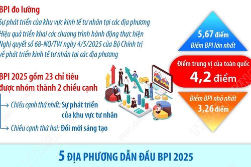 Lần đầu tiên công bố Chỉ số Hiệu quả Kinh tế Tư nhân (BPI 2025)