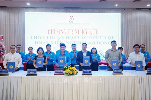 Tiêu chuẩn bữa ăn ca chưa được đưa vào thỏa ước lao động tập thể