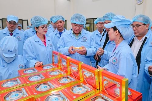 Đoàn Đại biểu cấp cao Viêng Chăn tham quan nhà máy yến sào SANVINEST Khánh Hòa