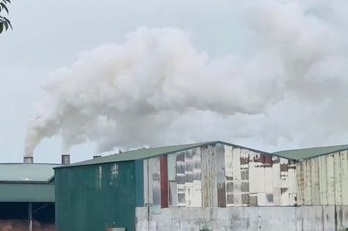 Khói mù mịt từ nhà máy viên nén: Quan trắc độc lập phát hiện khí CO vượt chuẩn