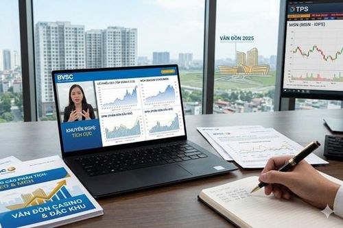 Cổ phiếu CEO, MCH, DPM và MSN: Loạt mã được khuyến nghị với kỳ vọng tăng trưởng tới 25%