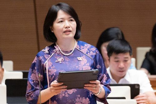 Diễn đàn 'Xin đừng đánh con!': Đại biểu Quốc hội 'hiến kế' để xóa bỏ bạo lực
