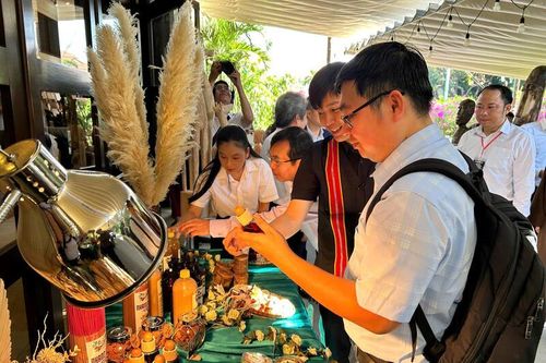 Đà Nẵng: Liên kết chuỗi, nâng giá trị thương hiệu quế Trà My