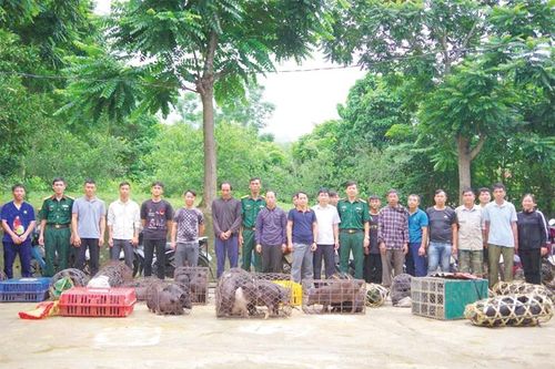 'Cầm tay chỉ việc' nơi vùng đất khó
