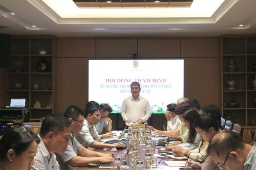 Thẩm định dự án luật sửa đổi, bổ sung một số điều của Luật Điện lực