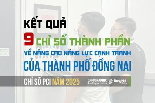 [Infographic] Kết quả các chỉ số thành phần trong bộ chỉ số PCI 2025 của Đồng Nai ra sao?