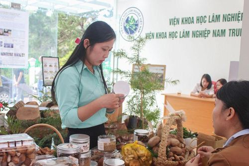 Sở Khoa học và Công nghệ Lâm Đồng hỗ trợ doanh nghiệp nhỏ và vừa chuyển đổi số