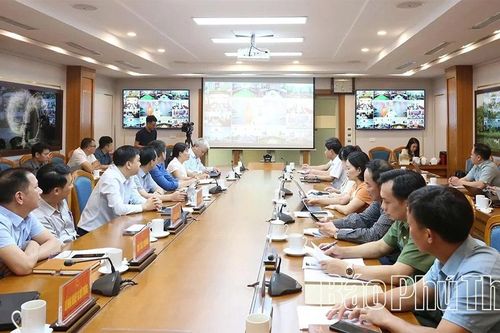 Tháo gỡ vướng mắc trong việc cấp, quản lý mã số vùng trồng