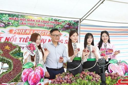 Bước chuyển ở Lóng Phiêng