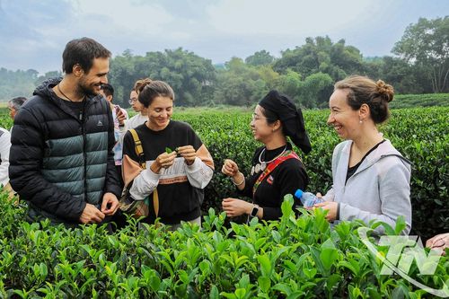 Mỗi người dân là một 'đại sứ' xứ Trà