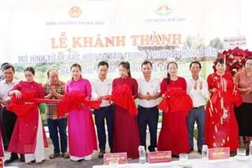Khánh thành mô hình xử lý rác hữu cơ bằng chế phẩm vi sinh Quế Lâm