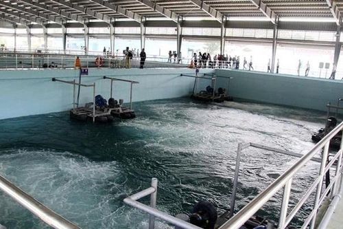 BIWASE ra mắt 5 công ty con, tái cấu trúc hệ thống cấp nước hiện đại và chuyên nghiệp