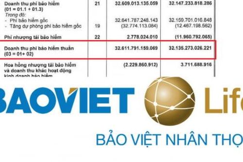 Bảo Việt Nhân thọ lỗ gộp mảng bảo hiểm, chi hơn 96% tài sản đầu tư tài chính